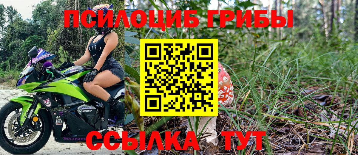 Псилоцибиновые грибы прущие грибы Кропоткин